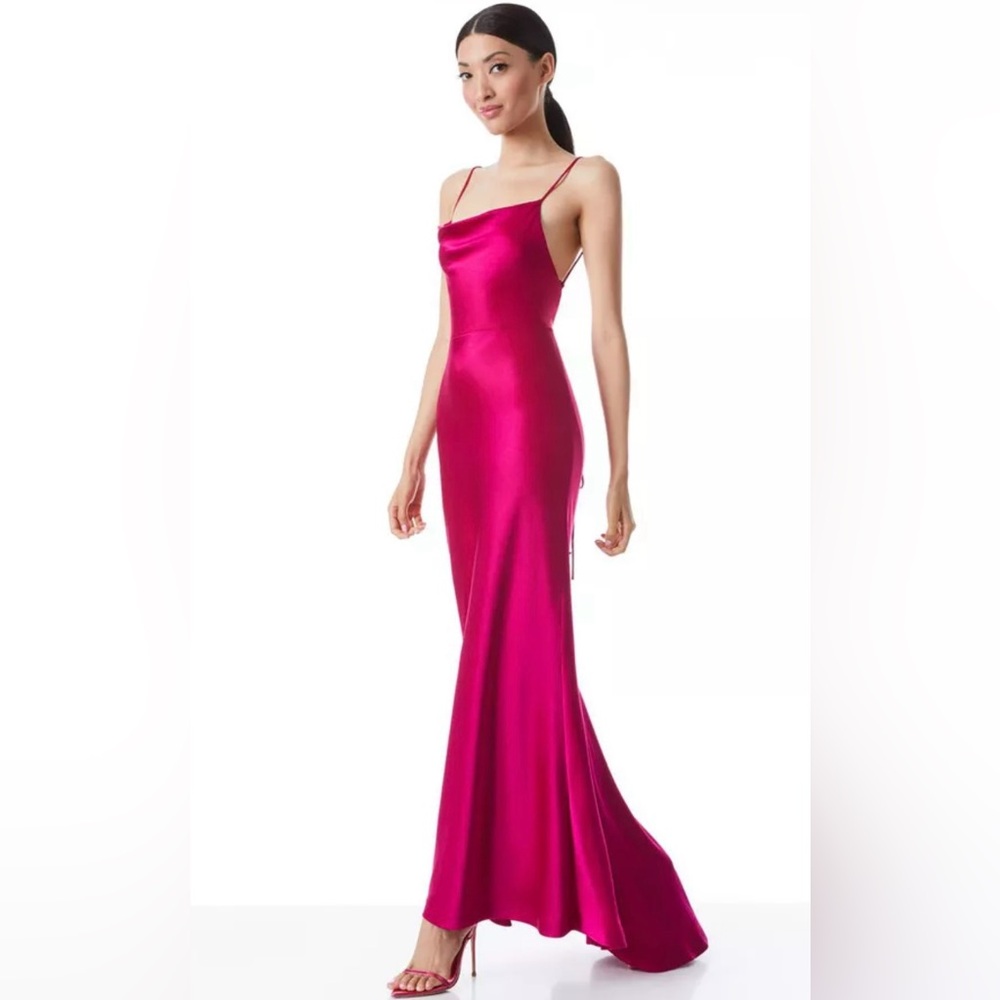 Alice + Olivia Montana Gown